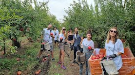 נשות העורף מתגייסות, צילום: באדיבות ריאליטי